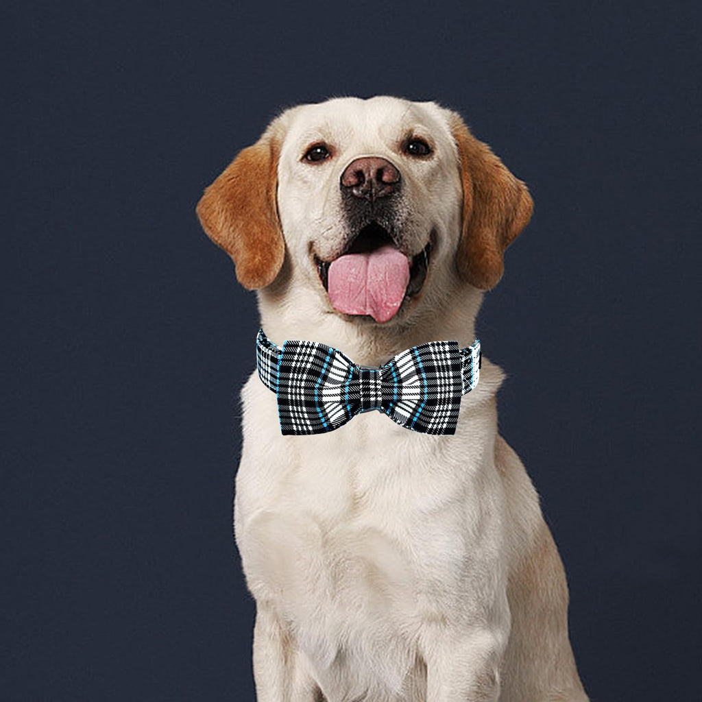 Lionheart glory Dog Bow Collar Blue and Black Plaid Dog Collar for X-Small Dogs,Boy Dog Collars with Bowtie Spring Summer Collars Soft Adjustable Pet Collar Bows