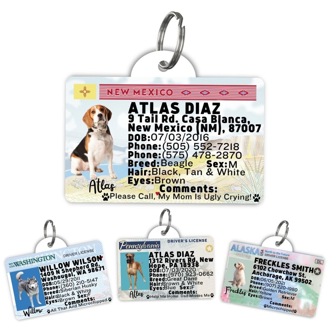 Dog Tags Personalized, Dog ID License Tag for Pets (Washington, Tag)