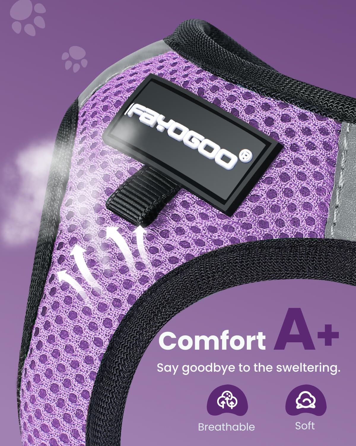 FAYOGOO Cat Harness, Cat Leash and Harness Set for Walking Escape Proof, Harness for Small Cats/Small Dogs, Large Kitten/Puppy Harness and Leash, Harness for Cats,XXL(Modern Violet, Medium)