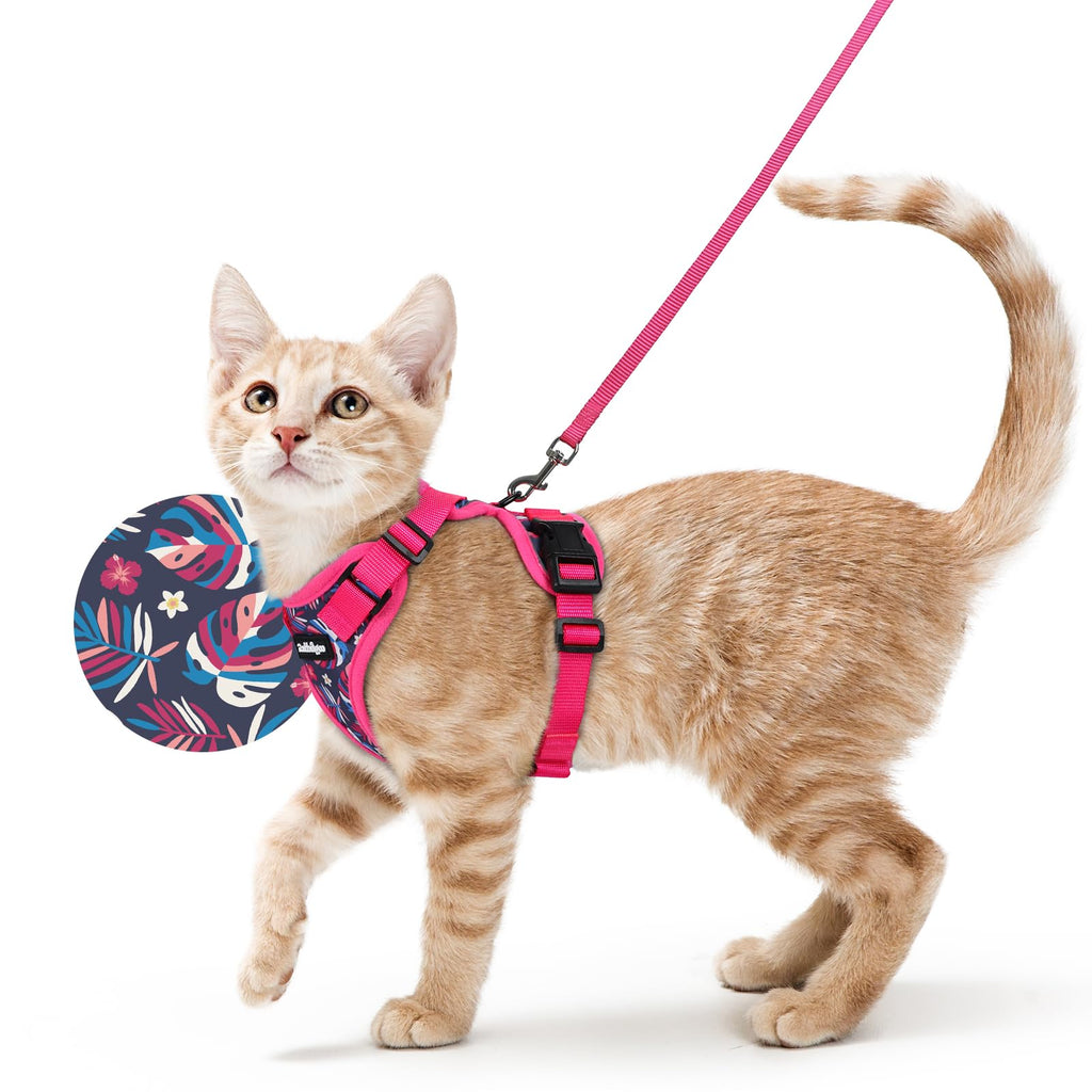 rabbitgoo Cat Harness and Leash Set, Escape Proof Vest, Coconut Fuchsia