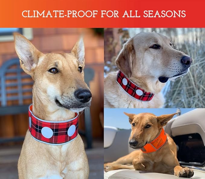 SPOT THE DOG! Reflective Dog Collar - Reversible High Visibility Safety Dog Accessories, Pet Collars, Fluorescent Dog Apparel for Walking, Hiking, Camping, Hunting (Blaze Orange, Red Plaid, XL)