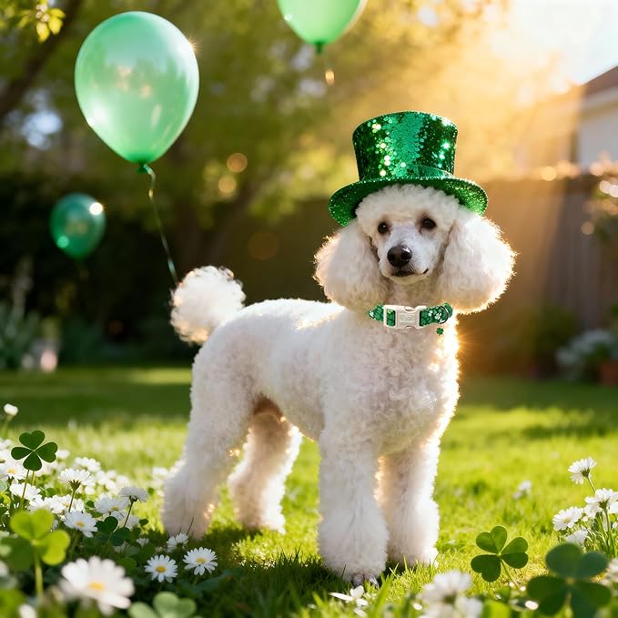 Babole Pet St. Patrick's Day Dog Collar for Large Dogs - Bold Green Lucky Clover Dog Collars, Cute Irish Party Shamrock Puppy Collar, Lightweight Adjustable St. Patricks Day Pet Collars L
