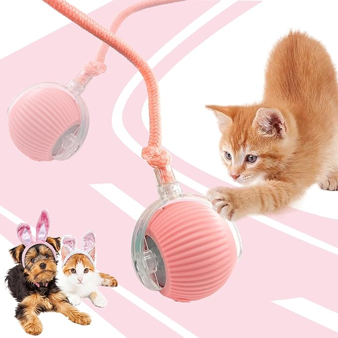 Valentines Day Gifts Interactive Dog Toys Dogs Ball,Moving Dog Toy with Touch Activated,Anti Boredom Dog Toys for Small Medium Dogs,Tough Motion Activated Automatic Vibrating Dog Ball