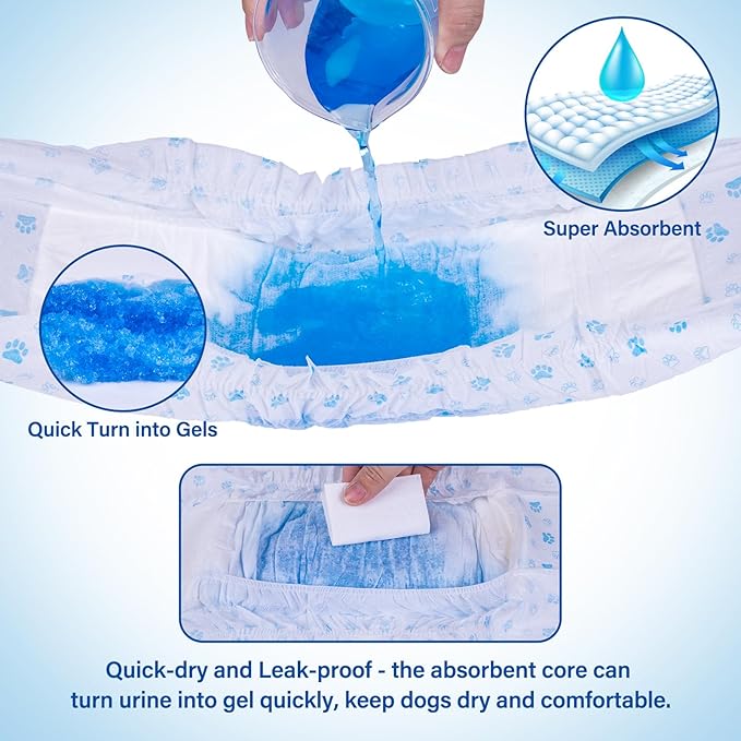 Pet Soft Disposable Male Wrap Dog Diaper,12Pcs,XS