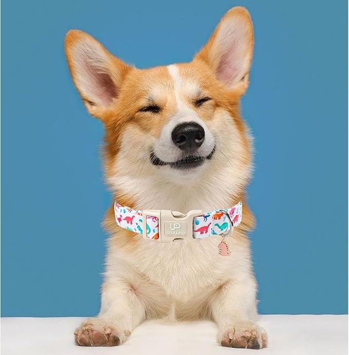 UP URARA PUP Summer Dog Collar, Adorable Dinosaur Cotton Dog Collar with Quick Release, Gift Dino Collars for Small Medium Large Boys Dogs Cute Durable Comfortable Pet Collars