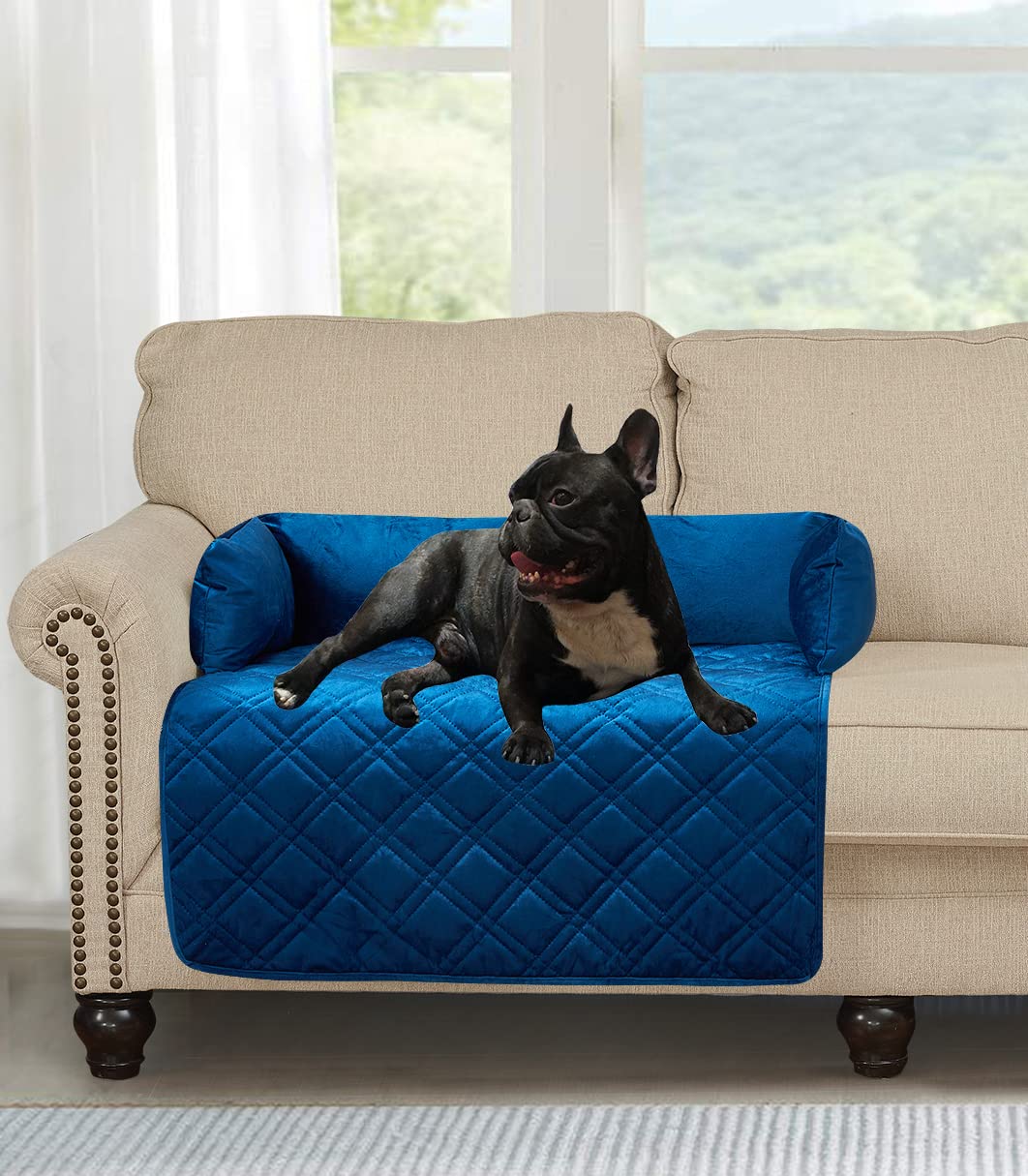 Brilliant Sunshine Grey Velvet Dog Sofa Slipcover, Extra Large