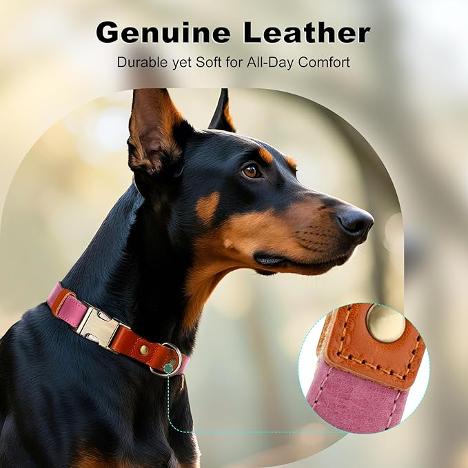 Plutus Pet Genuine Leather & Hemp Dog Collar – Adjustable Heavy Duty Pet Collar with Quick Release Metal Buckle, Soft & Stylish for Puppy and Small, Medium, Large Dogs (Pink, XS)