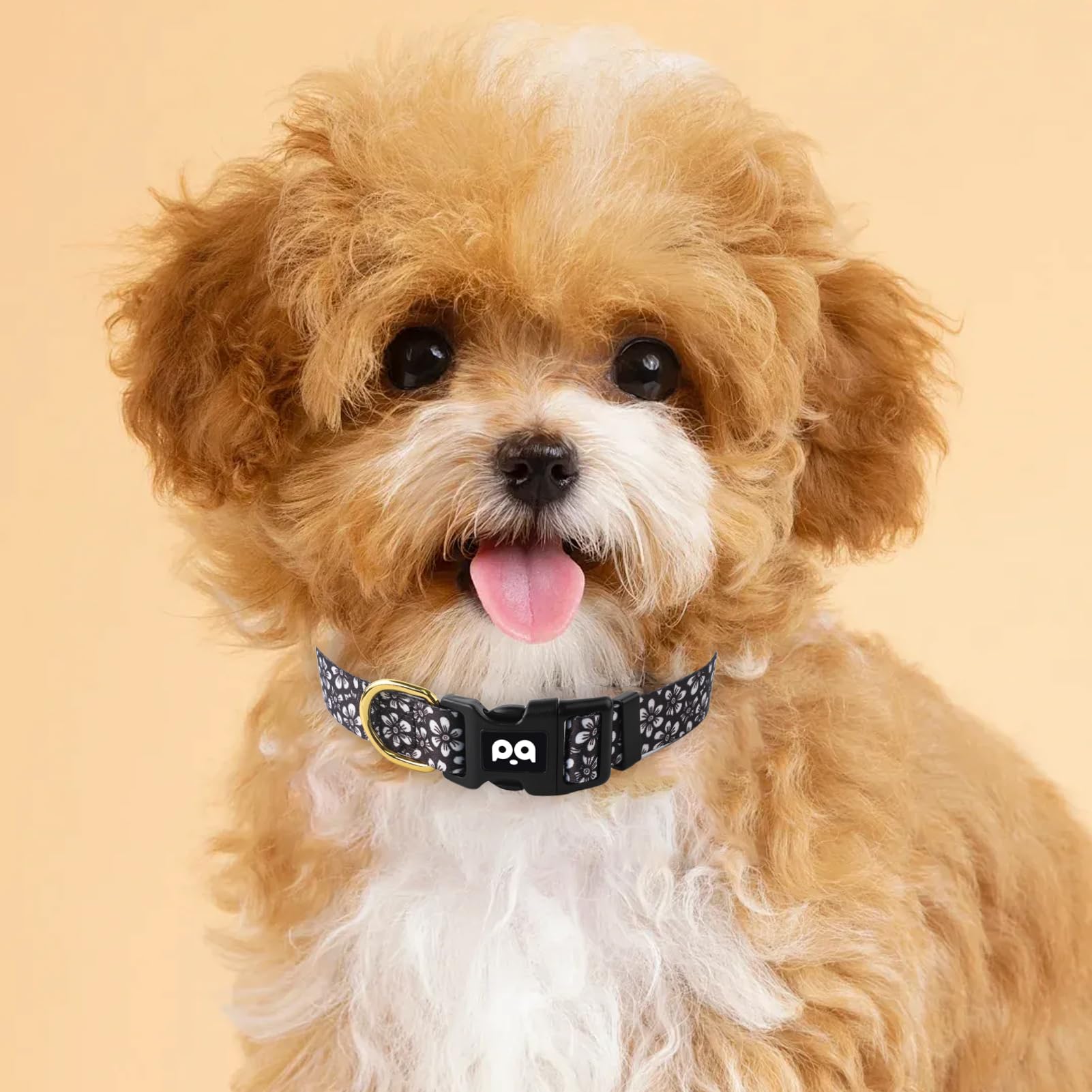 QQPETS Adjustable Soft Dog Collar: Print Flower Pink Multicolor Cute Patterns for XS Small Medium Large Pet Girl Boy Puppy Walking Running Training