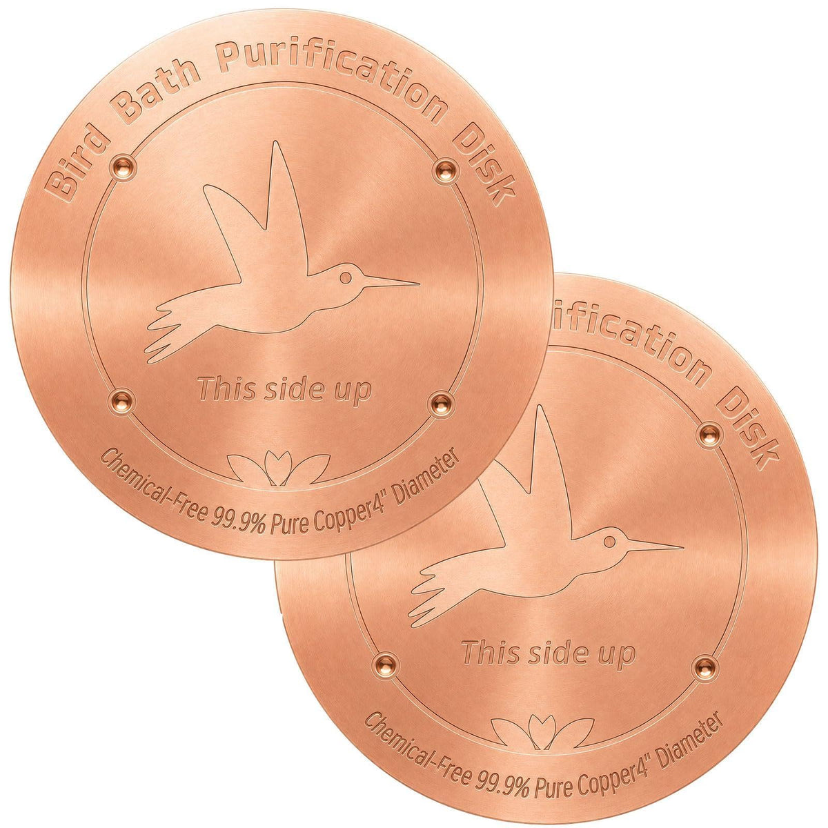 CTTZCKJ 3PCS Pure Copper Bird Bath Purification Disk - 4" Diameter, 0.6mm Thick, Reinforced with Four-Point Support, Universal Fit for Outdoor Birdbath & Bowl