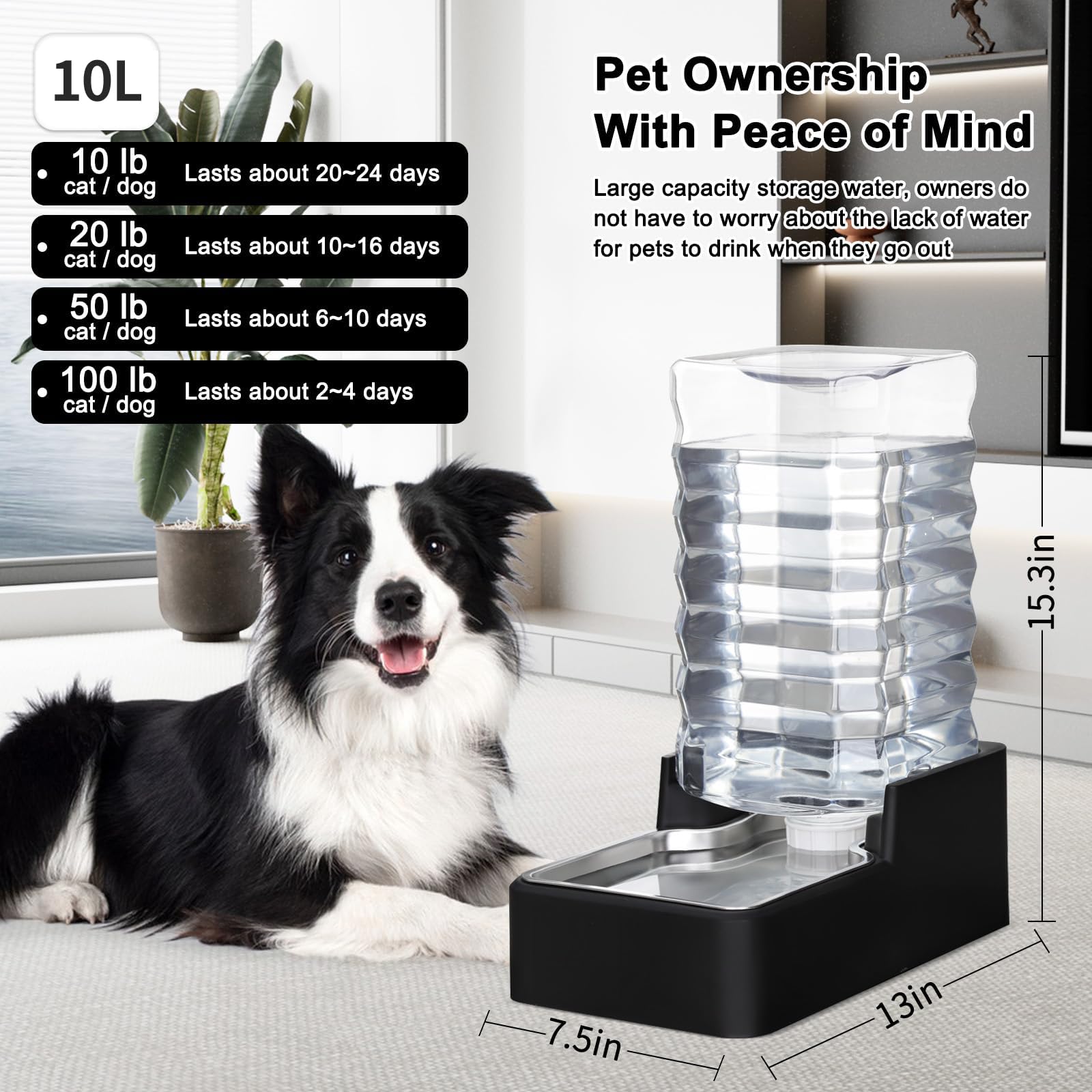 RIZZARI 10L Automatic Dog Water Dispenser for Dog: No Filter