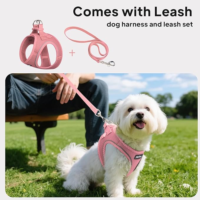 PetiFine Step in Small Dog Harness and Leash Set, Breathable All Weather Air Mesh Reflective Escape Proof, Step-in Vest Harnesses for Puppy(XS, Pink)