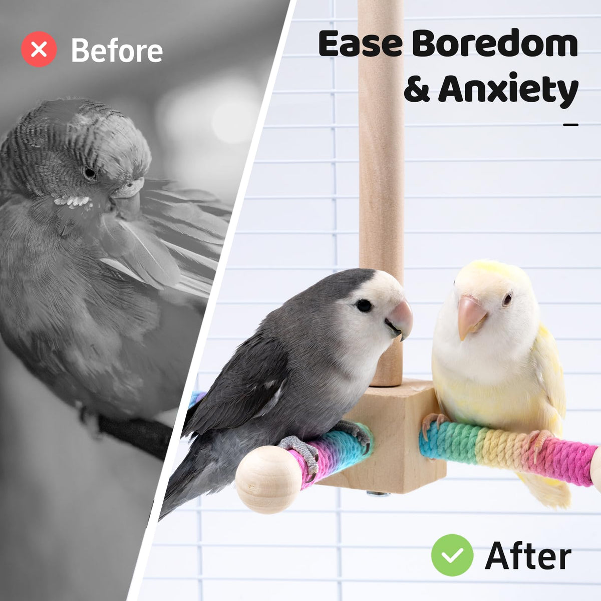 2 PCS, Hanging Bird Perch Toy & Poplar Bird Swing, Parrot Toys for Cage