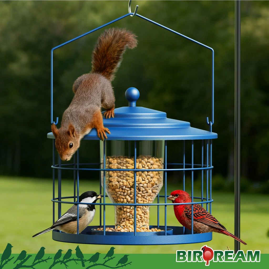 Birdream Squirrel Proof Bird Feeder, Metal Cage Bird Feeder for Outdoors Hanging, Starling Resistant Design for Small Birds, Weatherproof with Drain Holes, Easy to Refill, Blue