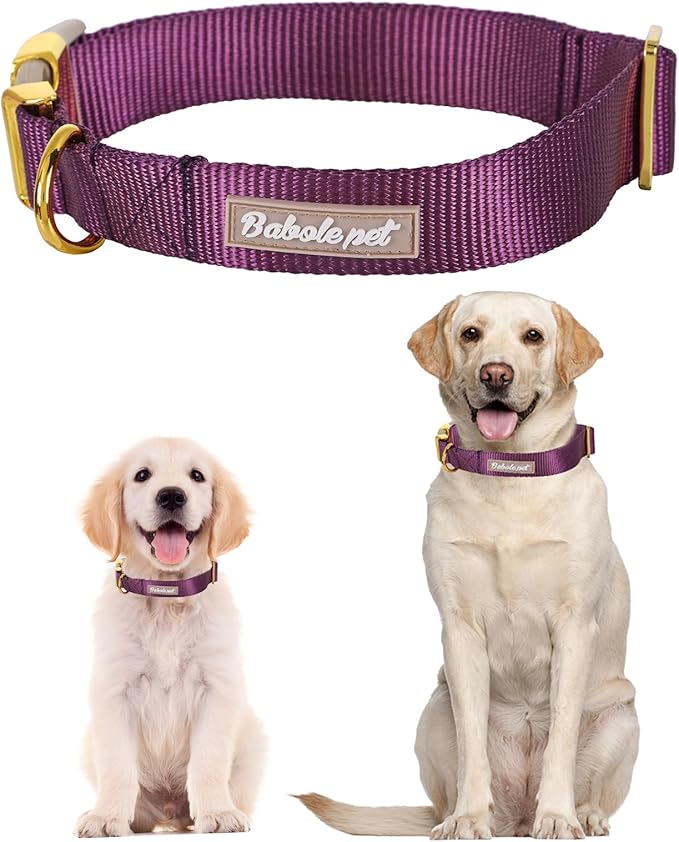 Nylon Dog Collar - Adjustable Deep Purple Soft Webbing Dog Collars for Small Medium Large Dogs Boy Girl Puppy Collar with Safety Metal Buckle S