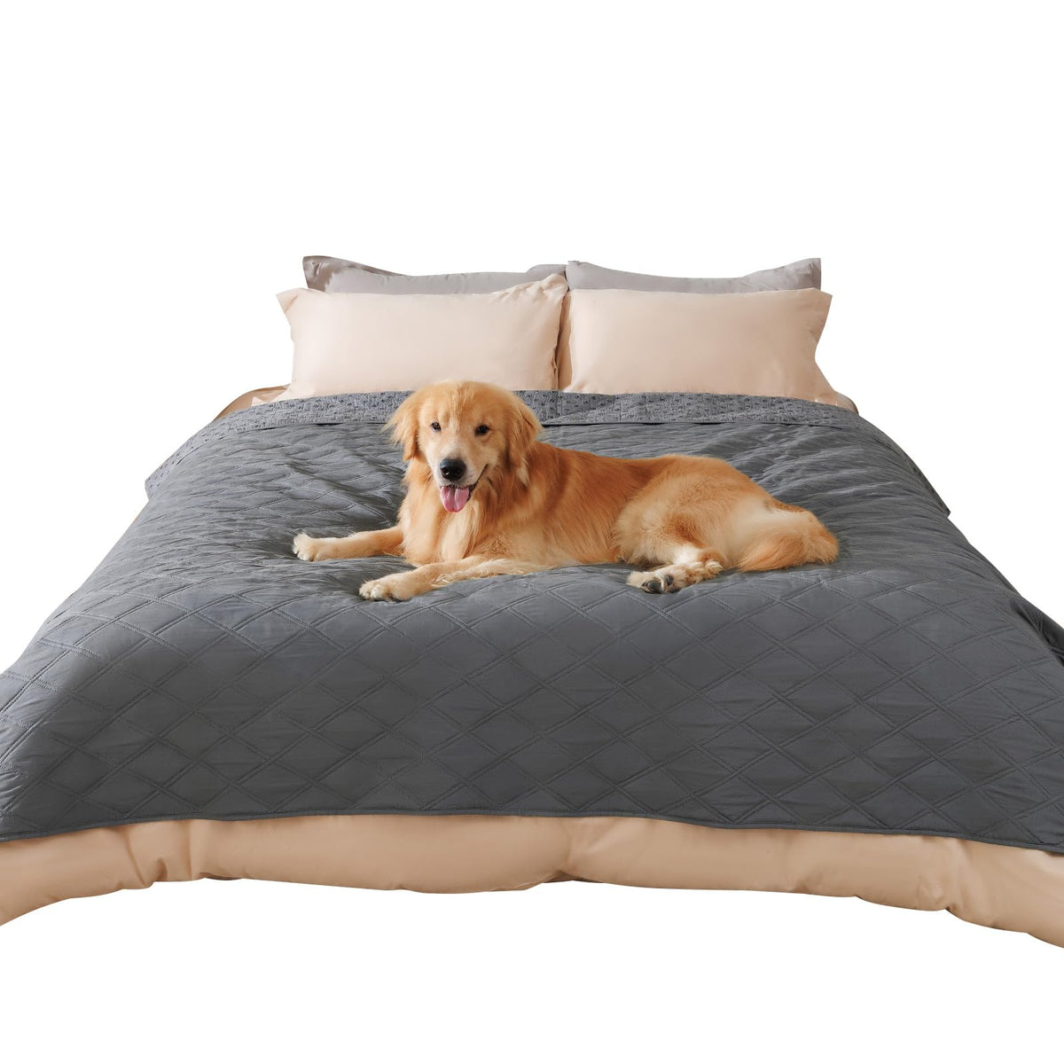 Luciphia Waterproof Couch Cover for Dogs, Non-Slip Pet Sofa Protector
