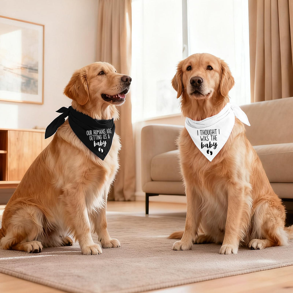 Baby Security Dog Bandana - Pregnancy Reveal Accessory for Dogs, Pets Triangle Scarf for Small Medium Large Dogs, Baby Announcement Pet Scarf Pet Accessories for Dog Lovers, 2 Packs