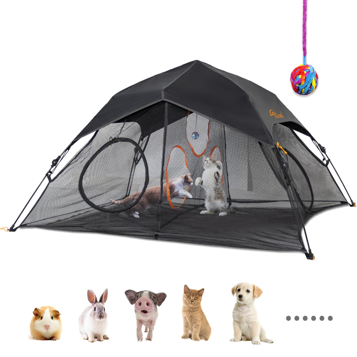 Outdoor Cat Play Tent for Indoors and Outdoors (X- Large Portable Pet House, Outdoor Cat Enclosure for Cats, Rabbits and Small Animals Easy to Connect with Run Tunnels, Cubes (Patented)