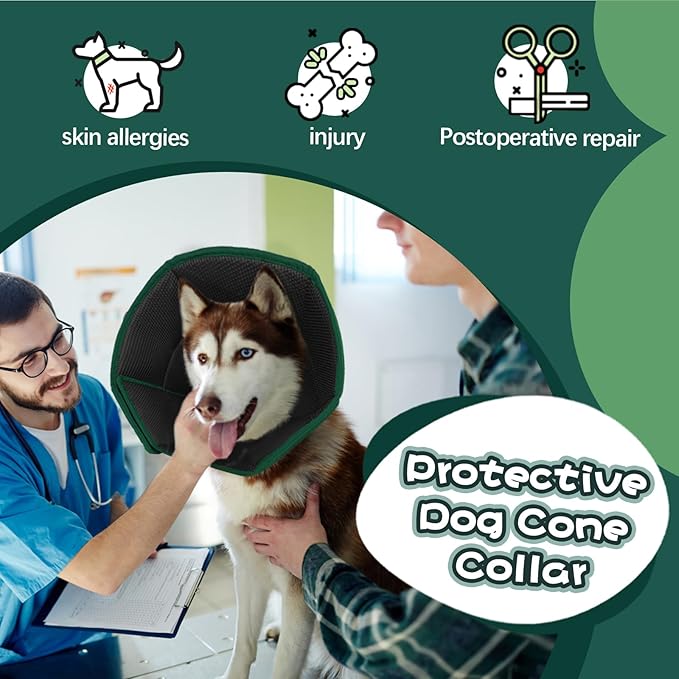 Allroaring Adjustable Dog Cone for Spay, Comfy Recovery Collar Green L