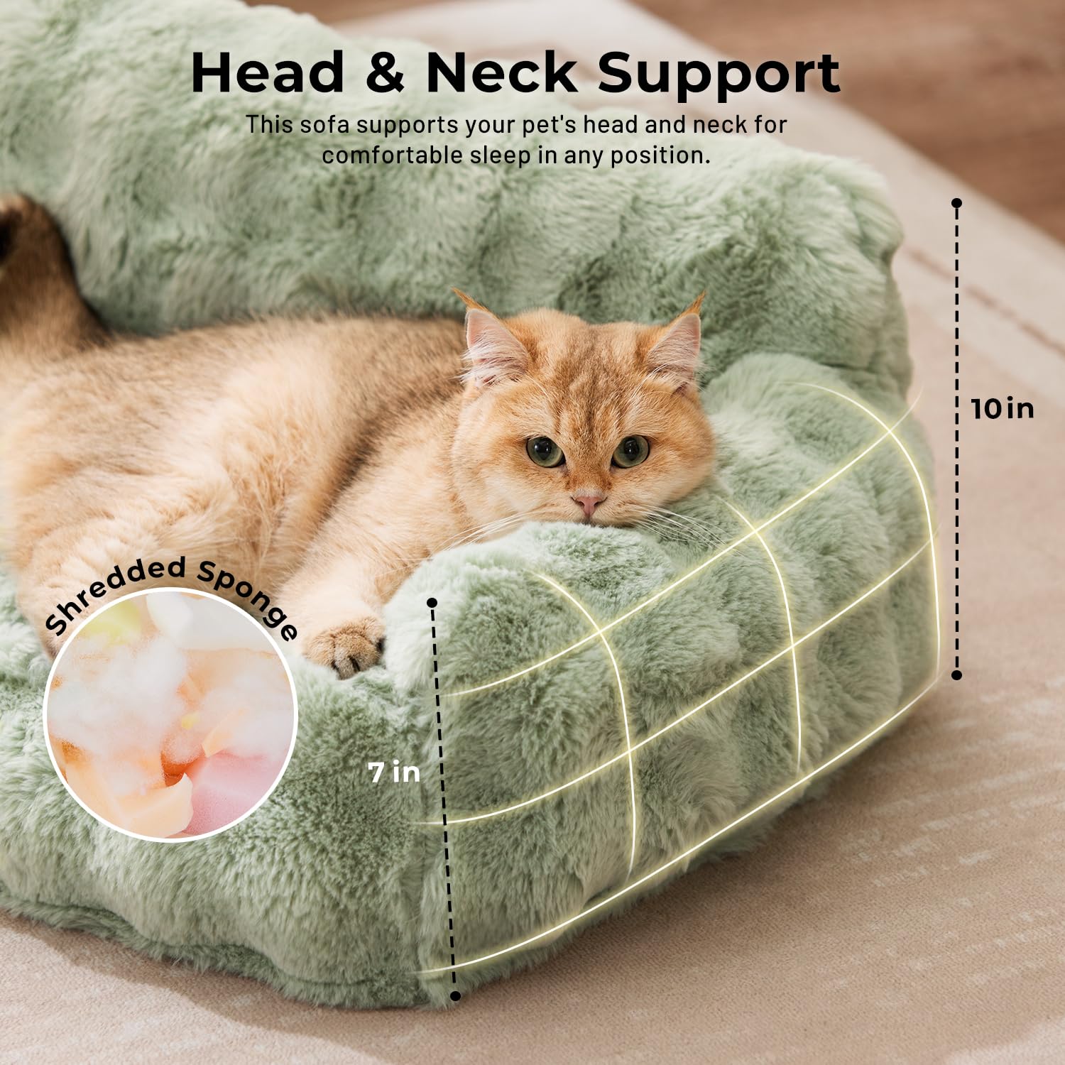 ZOMISIA Orthopedic Cat Couch Bed for Indoor Cats, Removable Washable Cover