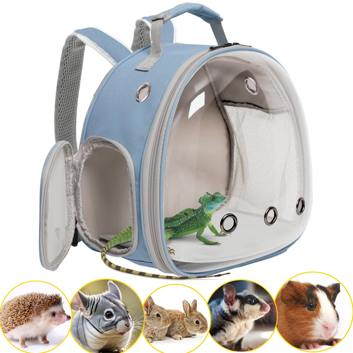 Guinea Pig Carrier,Guinea Pig Carrier for 2,Ventilation Carrier for Bearded Dragon,Reptile Travel Carrier for Lizards Sugar Glider Hedgehog Rat Parrot Birds,Airline Approved Green