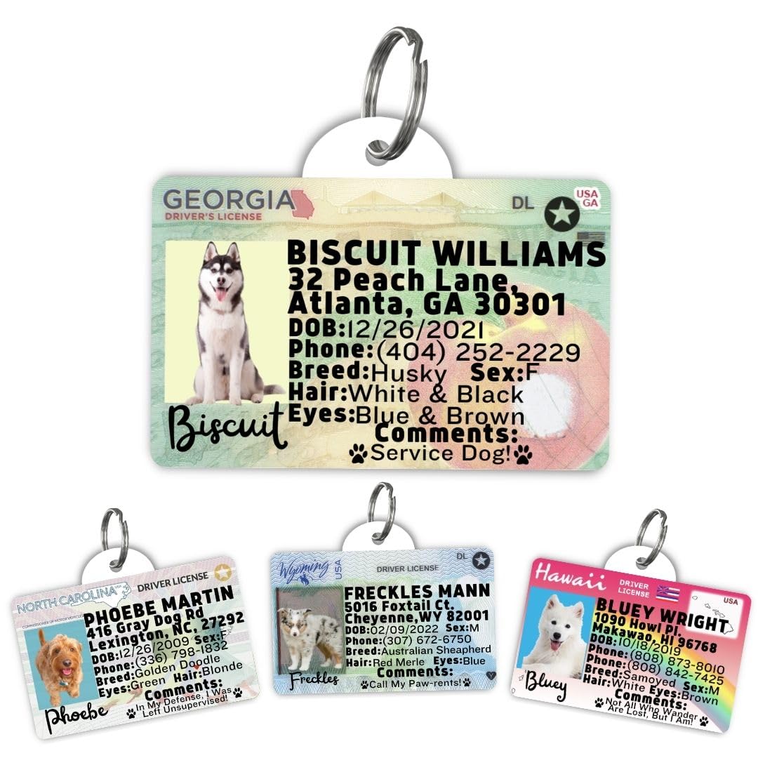 Dog Tags Personalized, Dog ID License Tag for Pets (Washington, Tag)