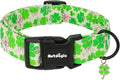 Astdogio St. Patrick's Day Dog Collar, Cute Dog Collars with Green Clover, Adjustable Cotton Pet Collars for Small Medium Large Dogs, Ideal for Puppy Girl Boy Female Male Dogs Gifts-M