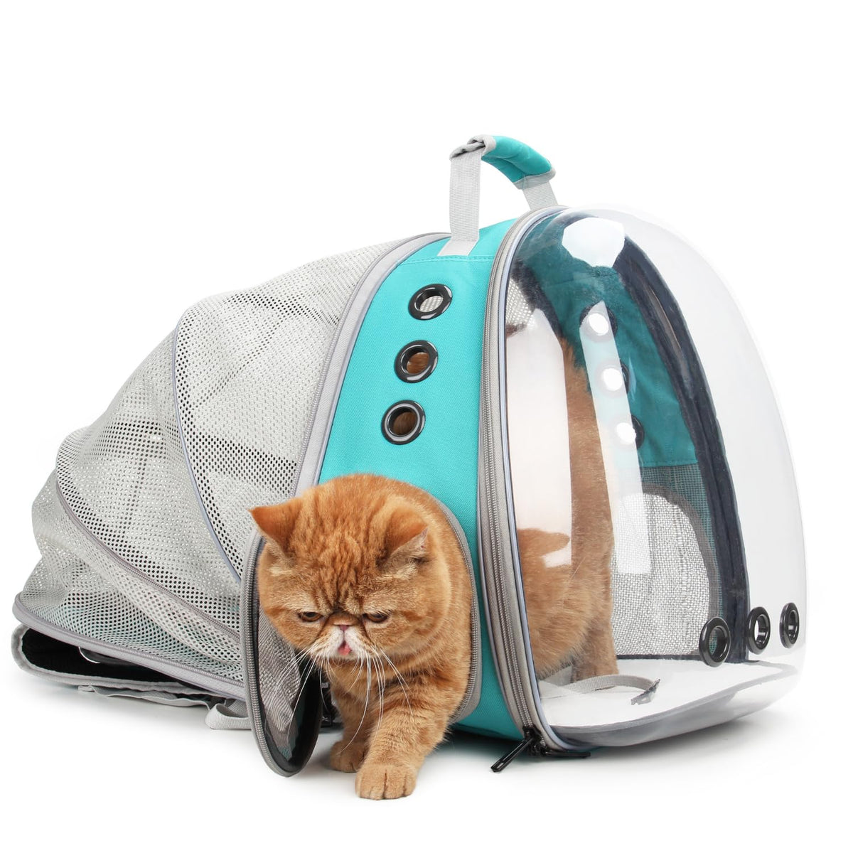 Lollimeow Expandable Bubble Cat Carrier Backpack, Supports up to 16 lbs