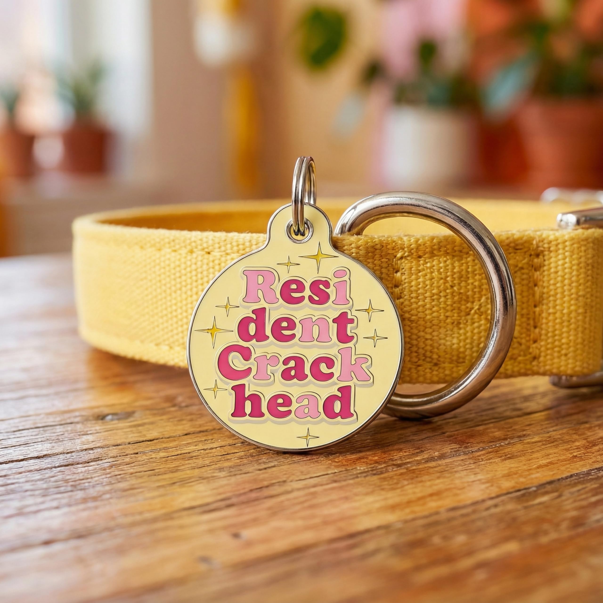 Bad Tags Personalized Dog and Cat ID Tags in 25+ Designs and 2 Sizes - 5 Lines of Custom Engraved Text - Funny Cute Personalized Pet Tags (Resident Crackhead - Yellow, Large (1.25 inch))