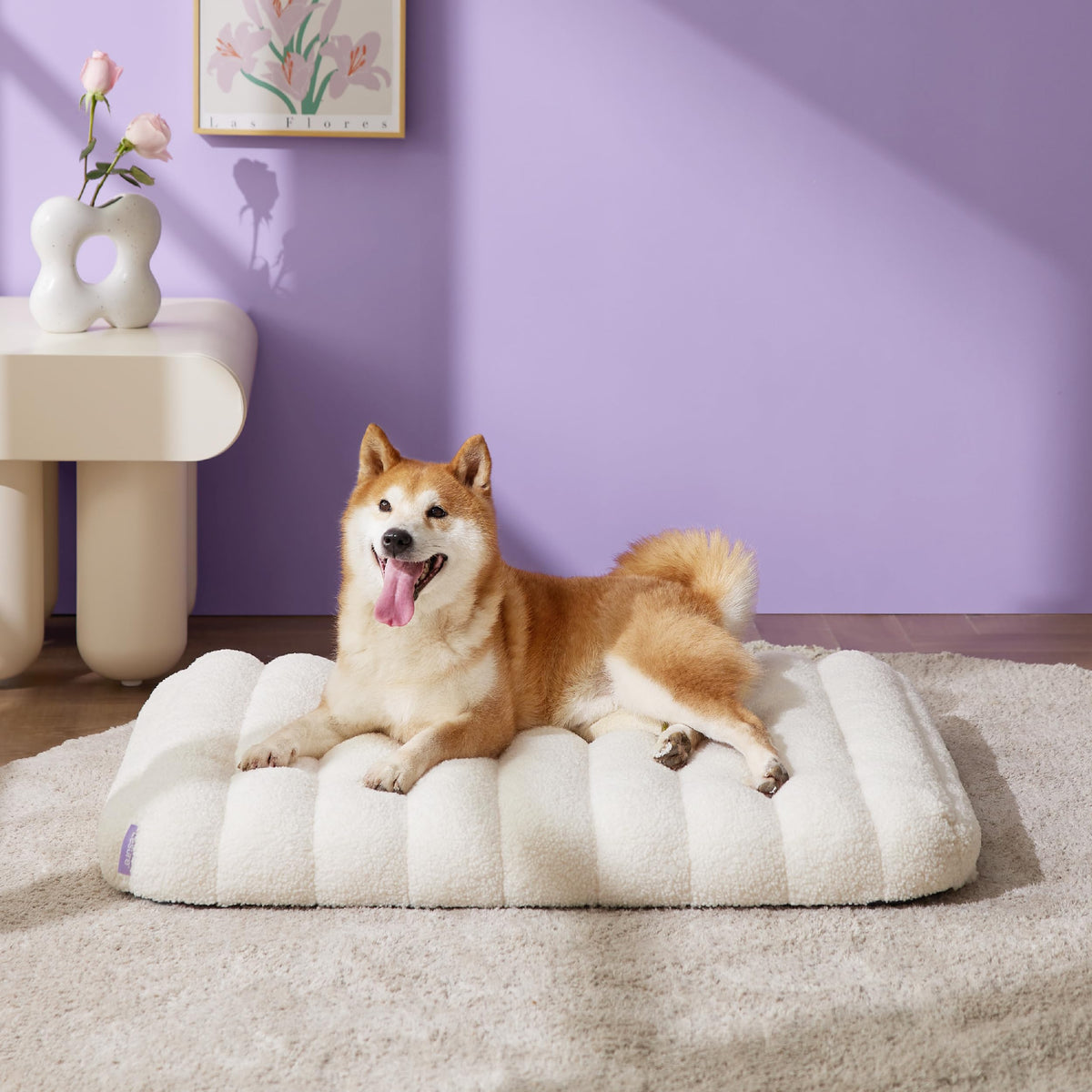 LE SURE Cute Orthopedic Dog Bed Medium Size Dog, Waterproof Chic Flat Pet Beds with Removable Washable Cover, Fuzzy Thick Egg Crate Foam Pet Mat for Indoor Use (30" x 20", Brown)