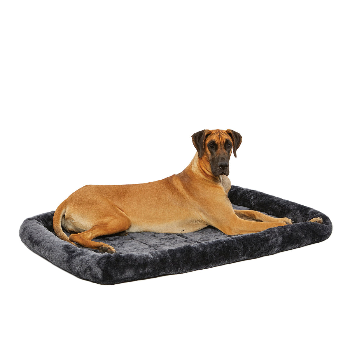 MidWest Homes for Pets QuietTime XXS Dog Bed - White Fleece Bolster, Ultra-Soft and Machine Washable, Fits 18-Inch Crates and Carriers, for Small Dogs and Cats