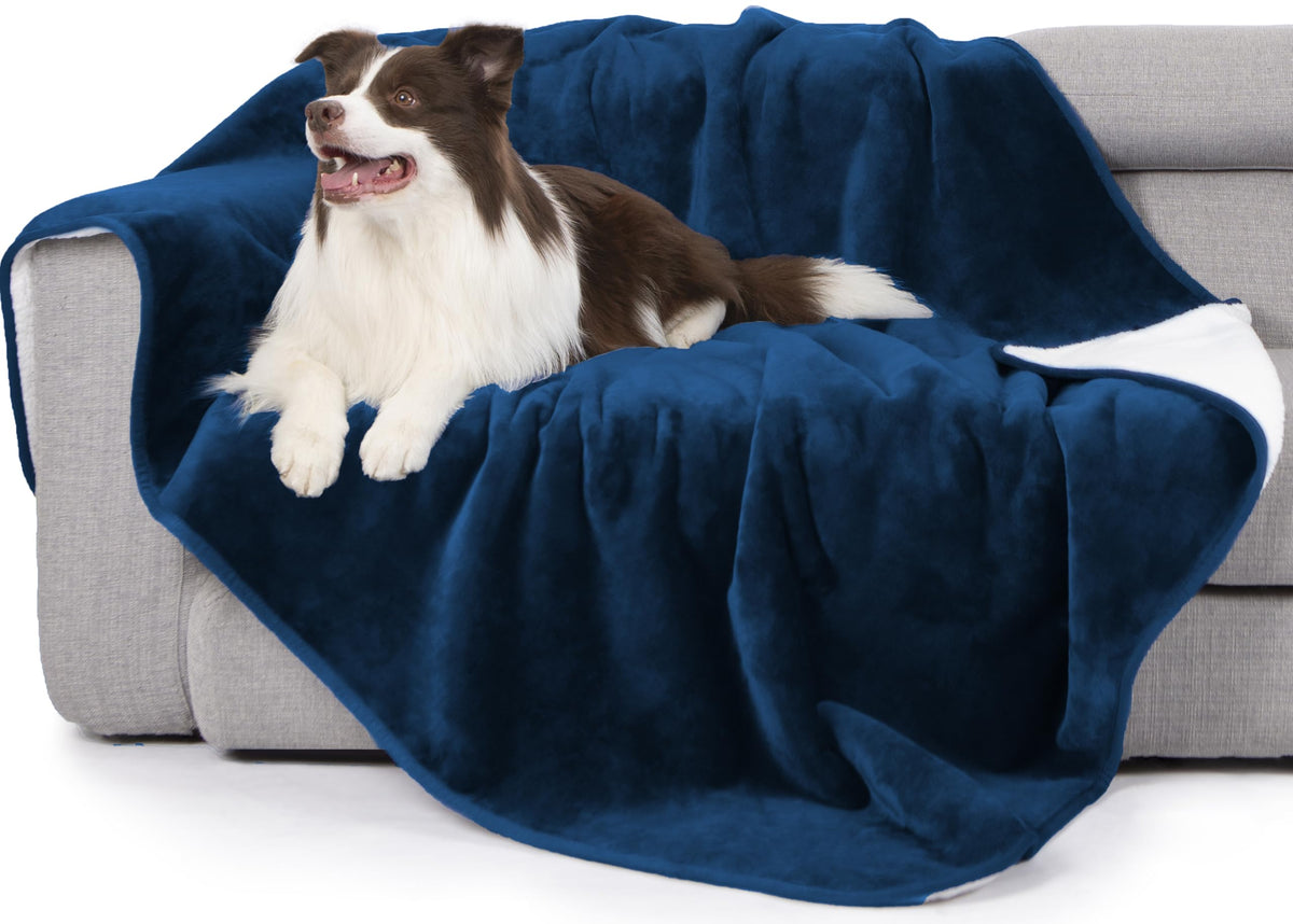 gogobunny Waterproof Bed Blanket, Reversible Sherpa Fleece Throw Blanket for Dog Puppy Cat, Furniture Cover Protects Bed Couch Sofa from Liquid Pee and Pet Fur (Cream, 90x108 inches)
