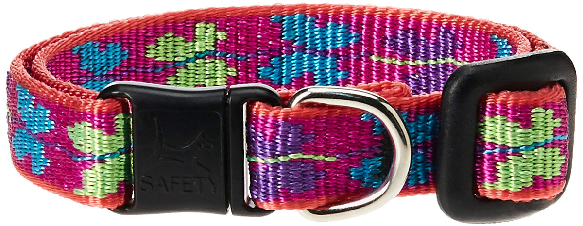 LupinePet Originals 1/2" Wing It Cat Safety Collar, 8-12"