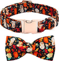 Bobo Rainbow Fall Dog Collar, Leaf Pumpkin Print Adjustable Pet Collar Cute Cotton Soft Collars with Bow Tie Metal Buckle Holiday Puppy Collars Boy&Girl Gift for Large Dogs