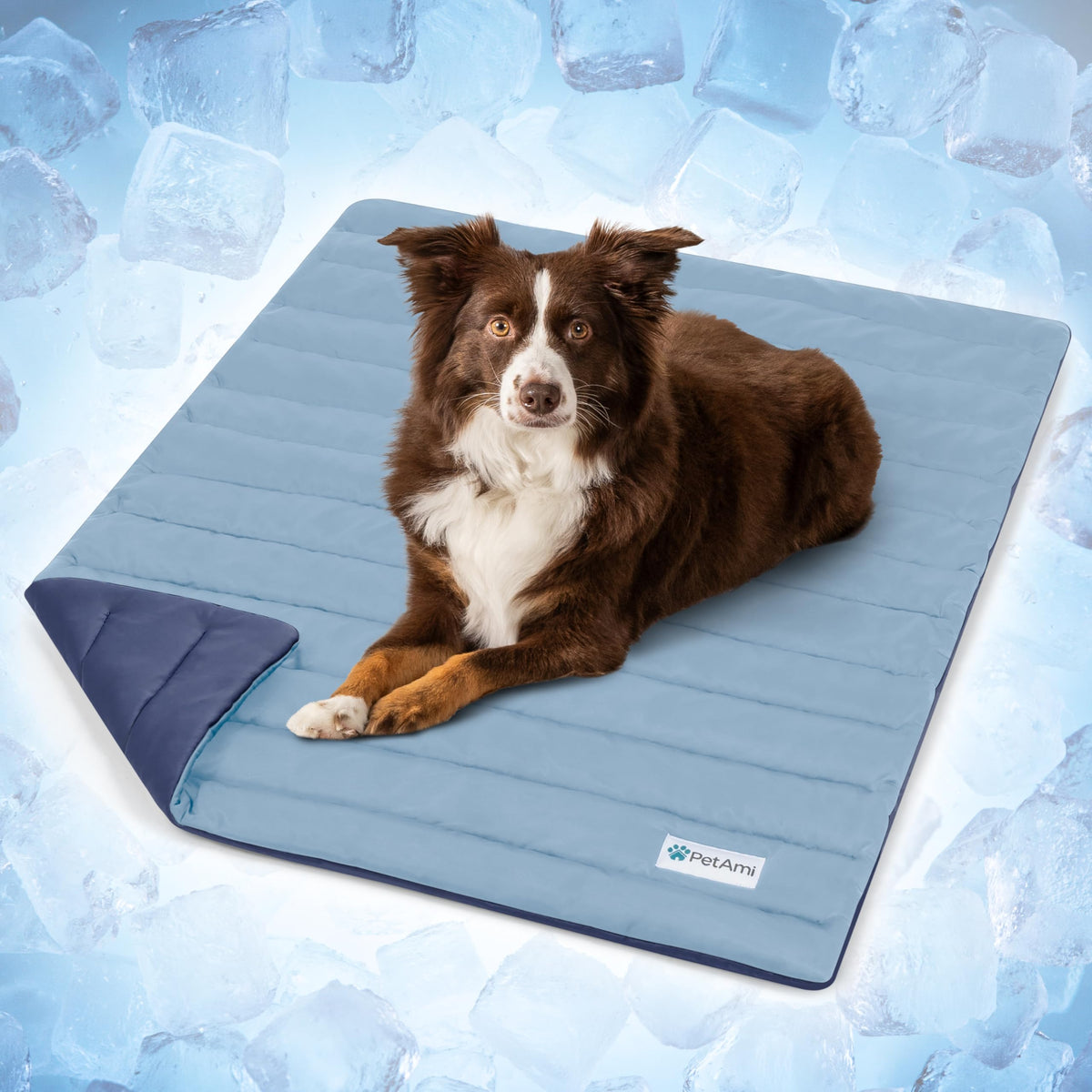 PetAmi Dog Cooling Mat Blanket Pet Pad for Small Medium Cat, Small, 24x32