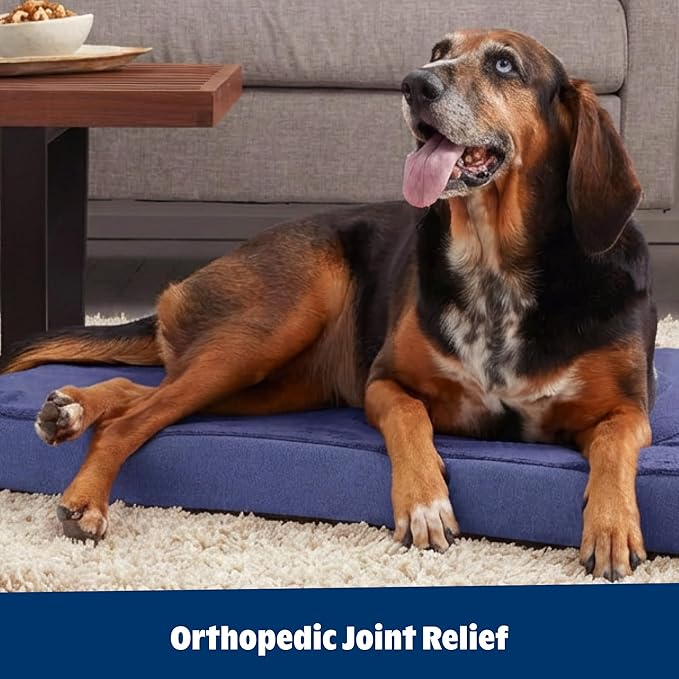 BarkBox Orthopedic Dog Bed - Small