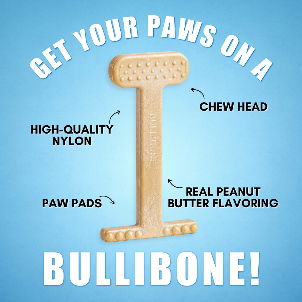 Bullibone Nylon Dog Chew Toy for Aggressive Chewers - Dental Hygiene Bone with Peanut Butter Flavor, Durable Tough Chew Toys for Large Dogs, Indestructible Dog Bone - Single