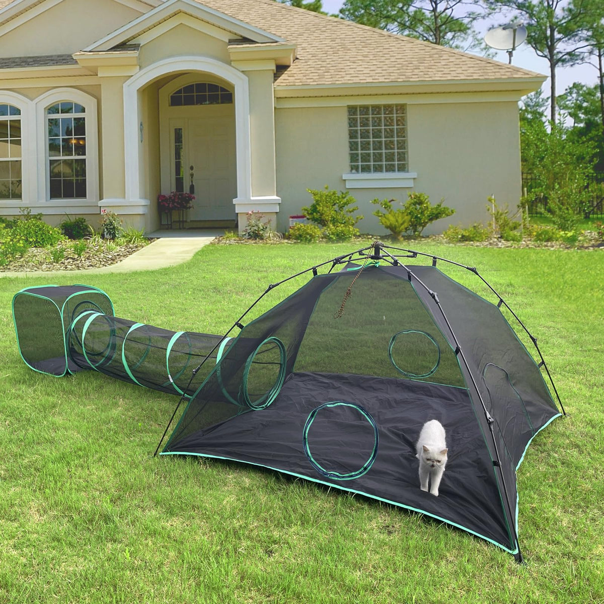 Pawtenda 4-in-1 Cat Tent & Enclosure Outdoor, Foldable Playpen with Tunnels