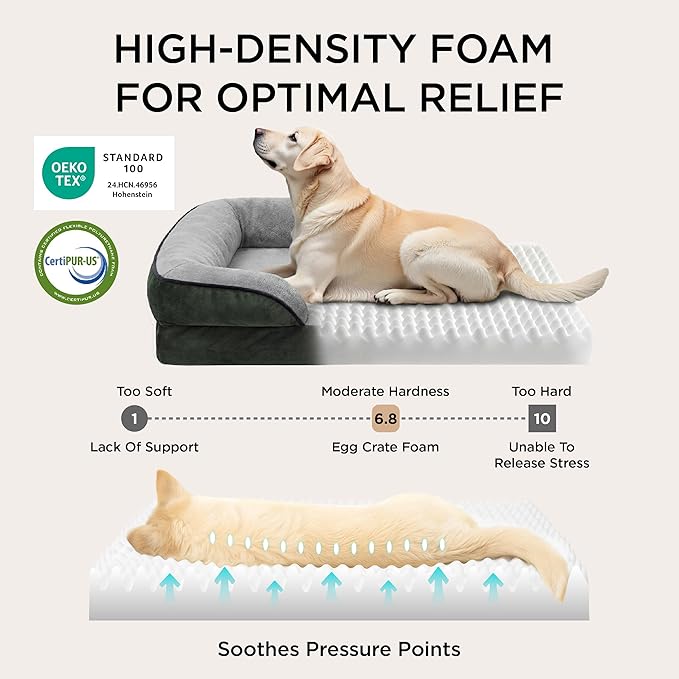 Bedsure XL Orthopedic Dog Bed for Extra Large Dogs - Waterproof XLarge Dog Cat Bed, Comfort Dogs Couch Sofa with Washable Removable Cover, Pet Bed with Nonskid Bottom, Boreal Canopy Green, 42"
