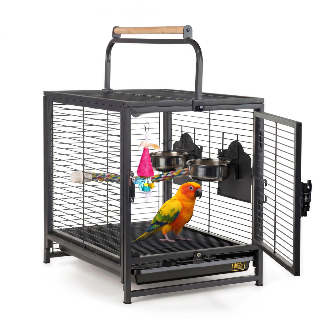 Prevue Pet Products Playtop Travel Carrier with Front Facing Door - Black