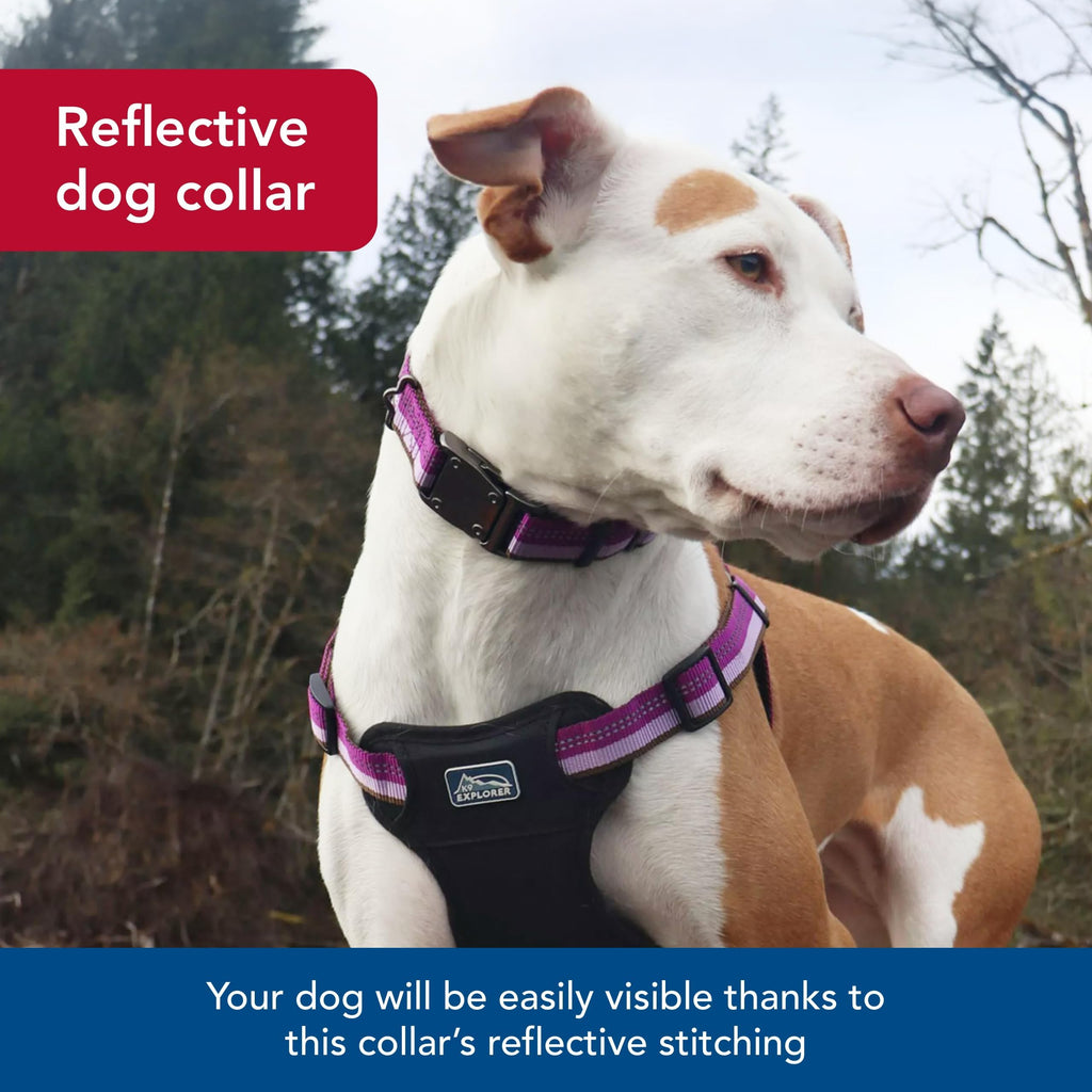 Coastal Pet K9 Explorer Reflective Adjustable Dog Collar - Comfortable Collar for the Outdoors - Durable, Lightweight Accessory with Side-Release Buckle - Campfire Orange, 1" x 18-26"