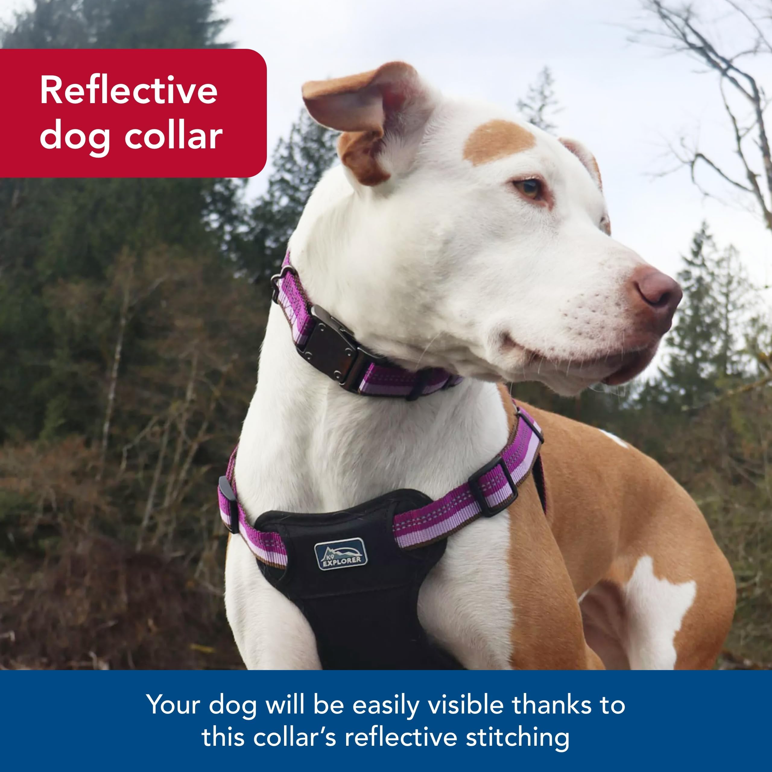 Coastal Pet K9 Explorer Reflective Adjustable Dog Collar - Comfortable Collar for the Outdoors - Durable, Lightweight Accessory with Side-Release Buckle - Campfire Orange, 1" x 18-26"
