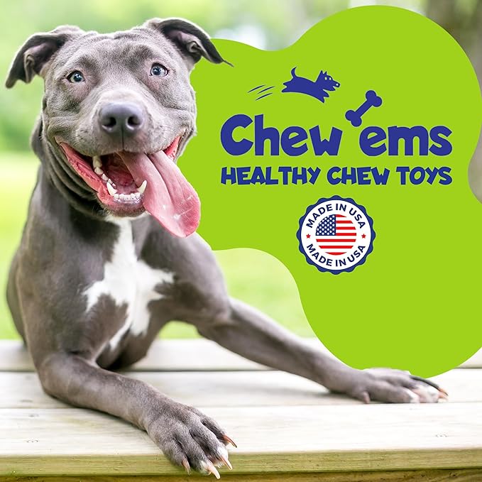 Chew’EMS X Bone Dog Chew Toy for Aggressive Chewers – Long-Lasting Beef Flavor Nylon Bone – Durable, Rawhide-Free Dental Toy - Large Size – Made in USA