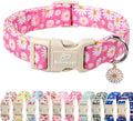 Babole Pet Summer Daisy Dog Collar, Cute Floral Adjustable Pink Dog Collars for Puppy Small Dogs, Lightweight Quick-Release Buckle Collar for Boy&Girl Dogs XS