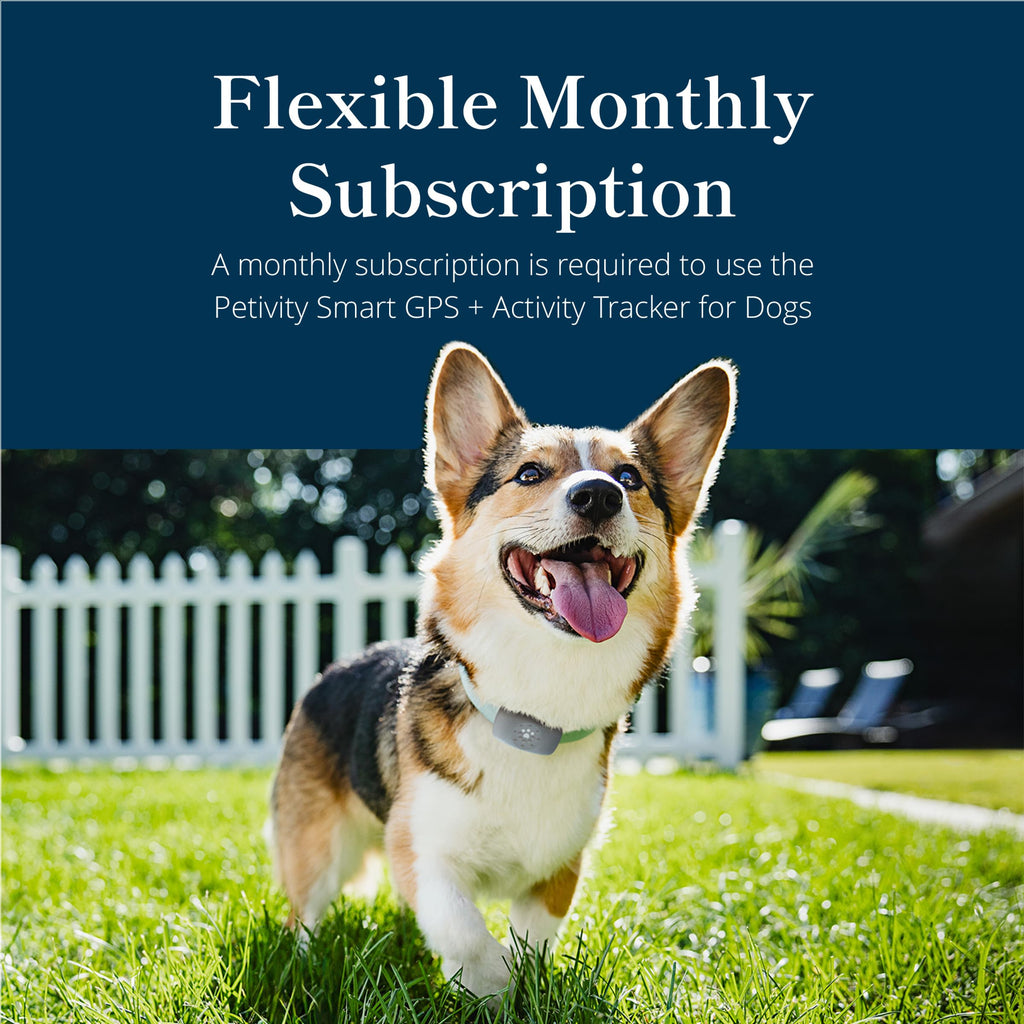 Purina Petivity Dog GPS Tracker Collar, Activity and Real Time Tracking
