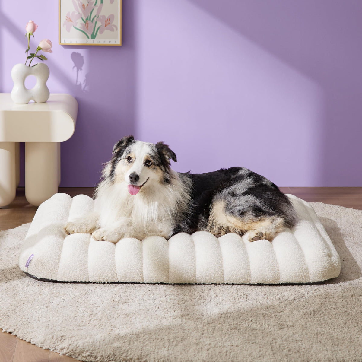 LE SURE Cute Orthopedic Dog Bed Medium Size Dog, Waterproof Chic Flat Pet Beds with Removable Washable Cover, Fuzzy Thick Egg Crate Foam Pet Mat for Indoor Use (30" x 20", Brown)