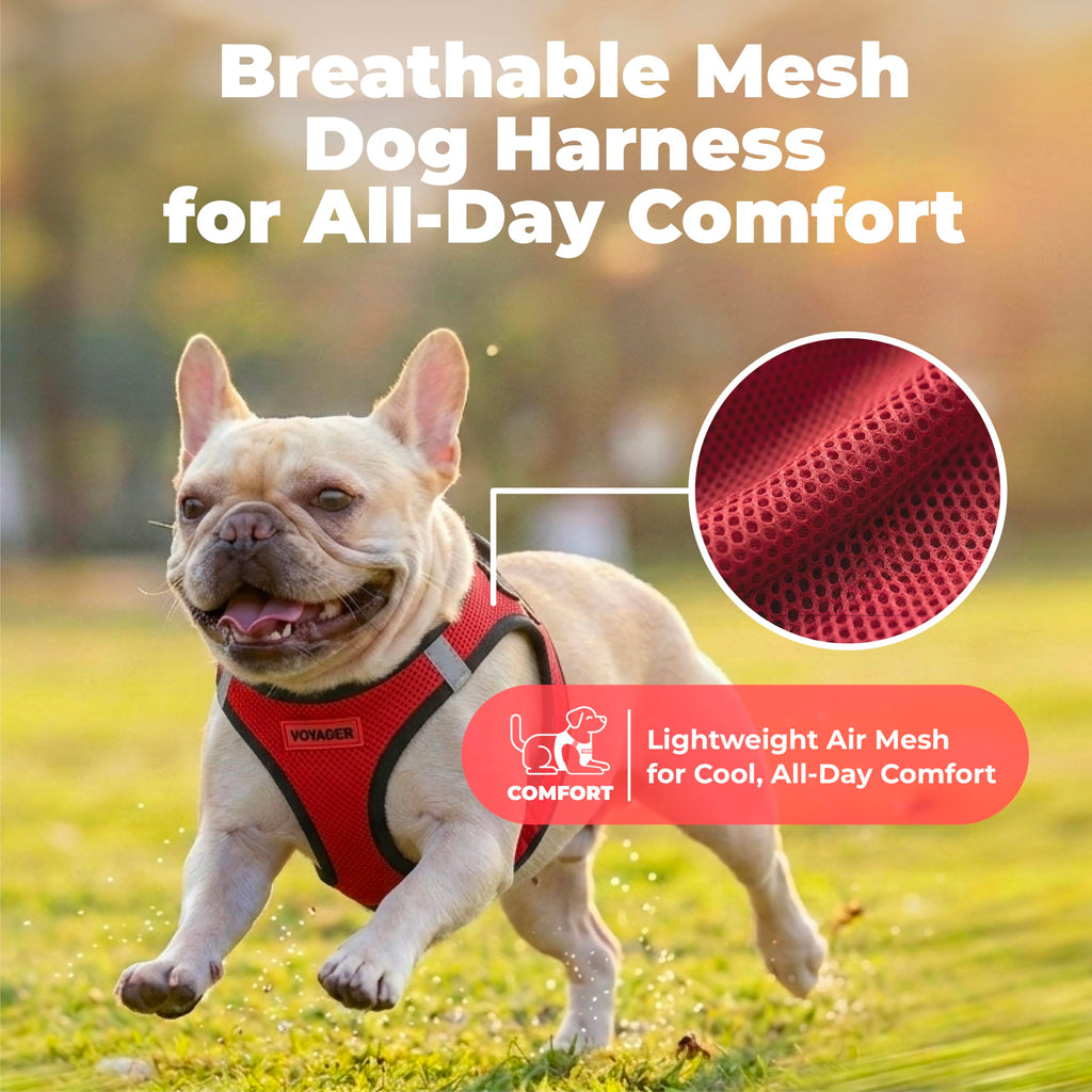 Voyager Step-in Air Dog Vest Harness - Red/Black Trim, Large