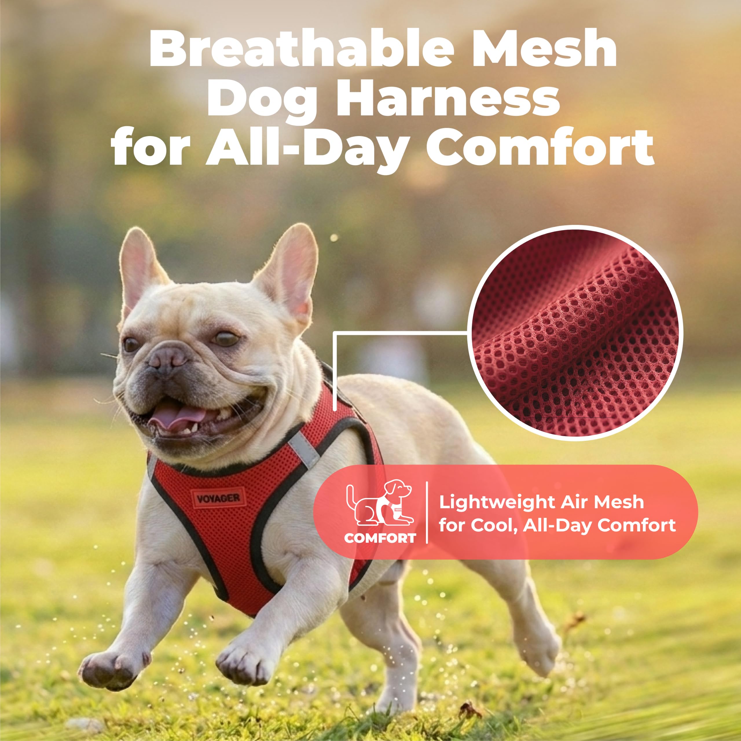 Voyager Step-in Air Dog Vest Harness - Red/Black Trim, Large