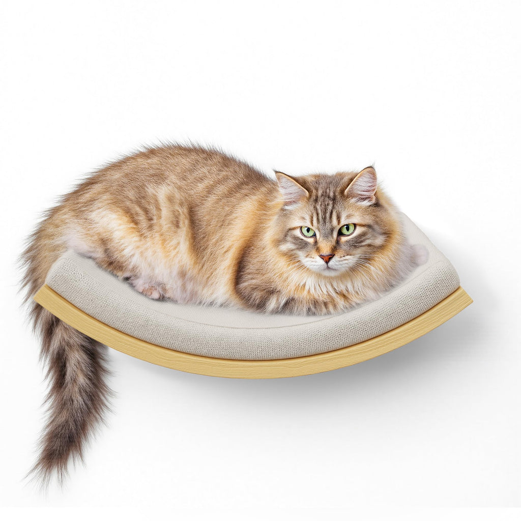 PELUOMOZ Cat Wall Stairs and Wall Shelves, 4 Piece Wood Cats Furniture Set, Padded Curved Bed with Foam, Flat Shelf & Climbing 4 Steps Stairs for Large Indoor Cats