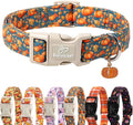 Babole Pet Fall Dog Collar Cute Autumn Pumpkin Puppy Collar - Light Comfortable Adjustable Pet Collars for Small Medium Large Girl Boy Dogs L