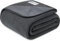 PetAmi Waterproof Dog Blanket for Small Medium Dogs Cats, Pee Proof Reversible Cat Blanket for Kitten Puppy, Soft Fleece Washable Pet Throw for Couch Car Crate Liner, 29x40 Gray